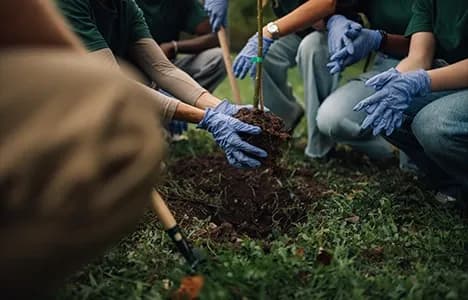 Volunteers working together in a garden